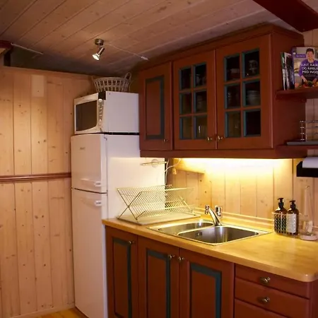 Koselig Familiehytte Pa Romasen Holiday home Ringsaker